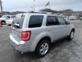 2012 Ingot Silver Metallic Ford Escape Limited V6 4WD  photo #4