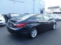 2011 Black Plum Pearl Hyundai Sonata GLS  photo #6