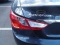 2011 Black Plum Pearl Hyundai Sonata GLS  photo #22