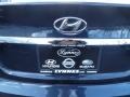 2011 Black Plum Pearl Hyundai Sonata GLS  photo #23