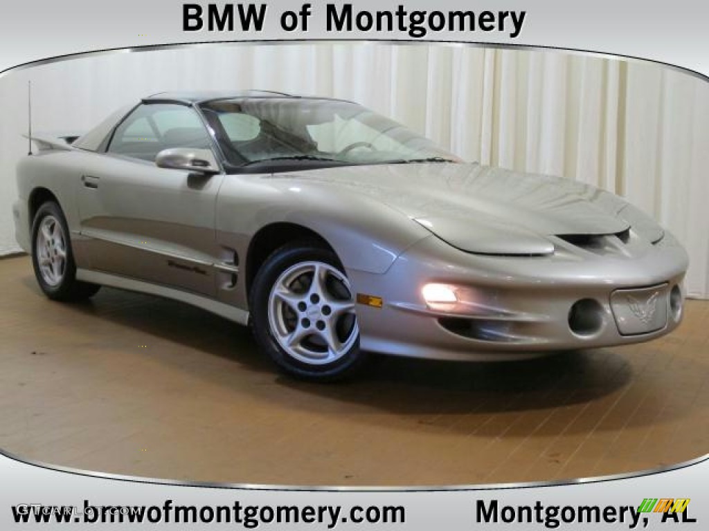 1999 Firebird Trans Am Coupe - Pewter Metallic / Dark Pewter photo #1