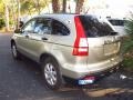 2007 Borrego Beige Metallic Honda CR-V EX 4WD  photo #3