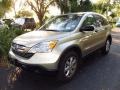 2007 Borrego Beige Metallic Honda CR-V EX 4WD  photo #4