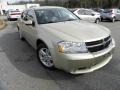 White Gold - Avenger R/T Photo No. 1