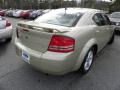 White Gold - Avenger R/T Photo No. 13
