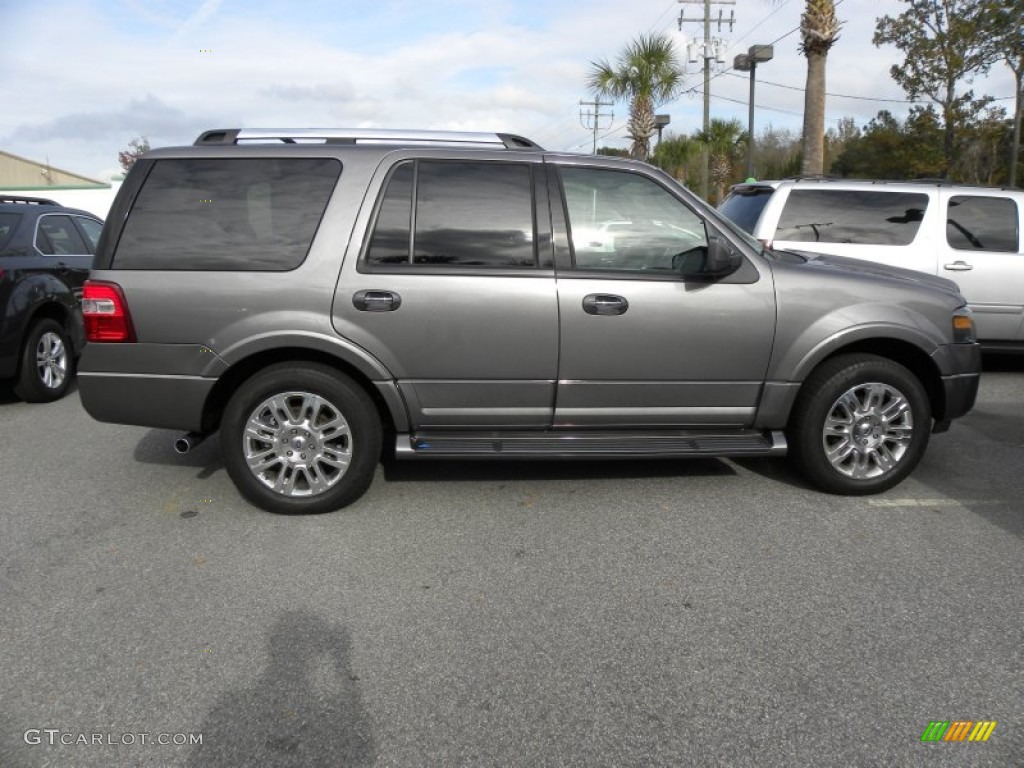 2011 Expedition Limited - Sterling Grey Metallic / Charcoal Black photo #14
