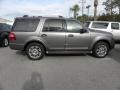 Sterling Grey Metallic 2011 Ford Expedition Limited Exterior