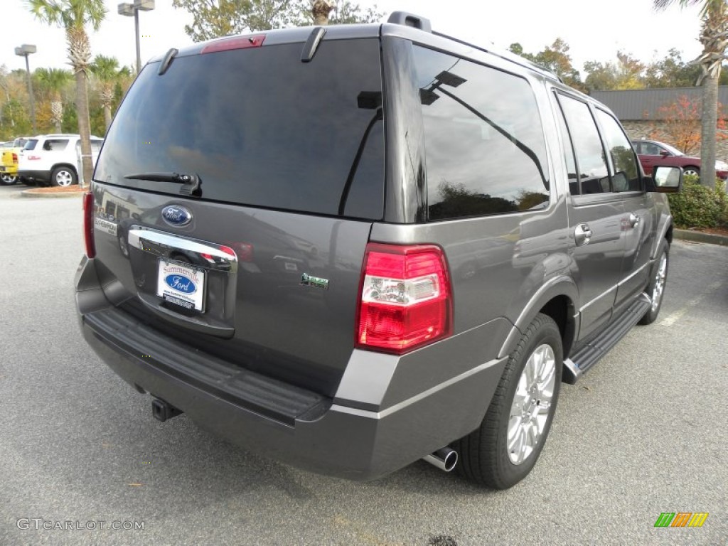 2011 Expedition Limited - Sterling Grey Metallic / Charcoal Black photo #15