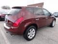 2006 Merlot Pearl Nissan Murano S AWD  photo #8