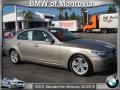 2009 Platinum Bronze Metallic BMW 5 Series 528i Sedan  photo #1