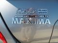 2007 Precision Gray Metallic Nissan Maxima 3.5 SE  photo #18