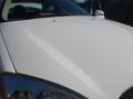 Vibrant White - Taurus SEL Photo No. 21