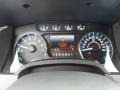 Steel Gray Gauges Photo for 2012 Ford F150 #59846331