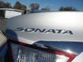 2012 Radiant Silver Hyundai Sonata SE  photo #14