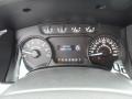 Steel Gray Gauges Photo for 2012 Ford F150 #59848783
