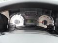 Chaparral Gauges Photo for 2012 Ford Expedition #59849470