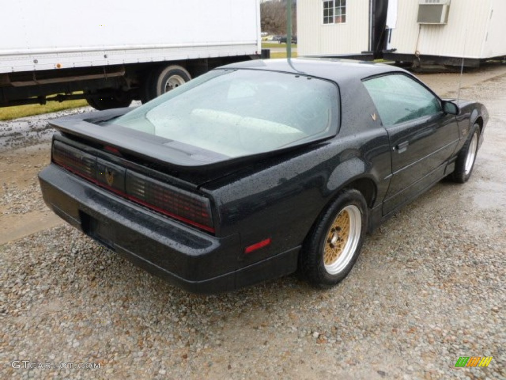 1987 Firebird GTA Trans Am - Black / Beige photo #5