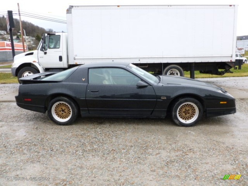 1987 Firebird GTA Trans Am - Black / Beige photo #6