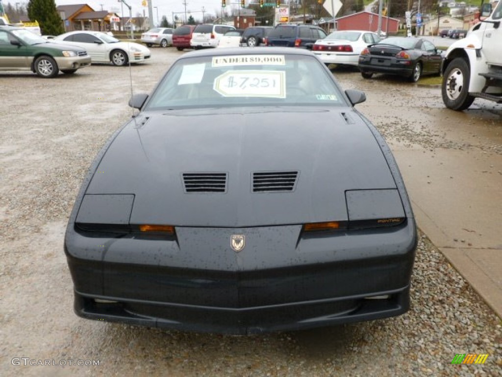 1987 Firebird GTA Trans Am - Black / Beige photo #8