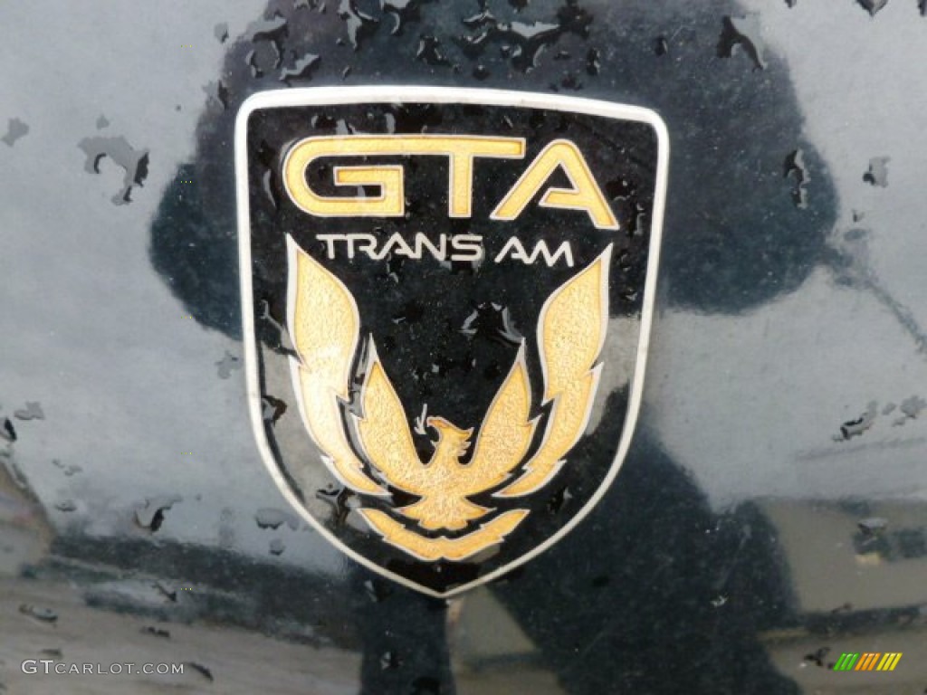 1987 Pontiac Firebird GTA Trans Am Marks and Logos Photos