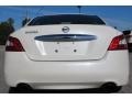 Winter Frost White - Maxima 3.5 SV Photo No. 6