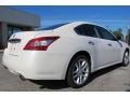 Winter Frost White - Maxima 3.5 SV Photo No. 7