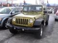 Rescue Green Metallic 2007 Jeep Wrangler Unlimited Rubicon 4x4