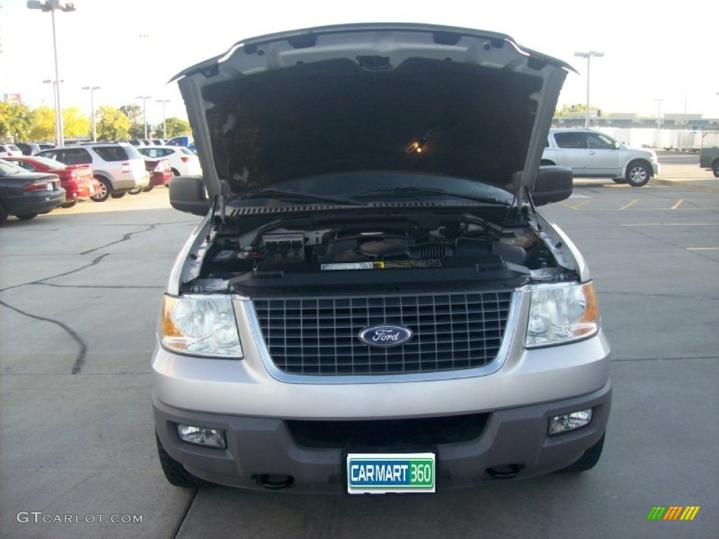 2003 Expedition XLT 4x4 - Silver Birch Metallic / Flint Grey photo #3