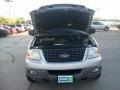 2003 Silver Birch Metallic Ford Expedition XLT 4x4  photo #3