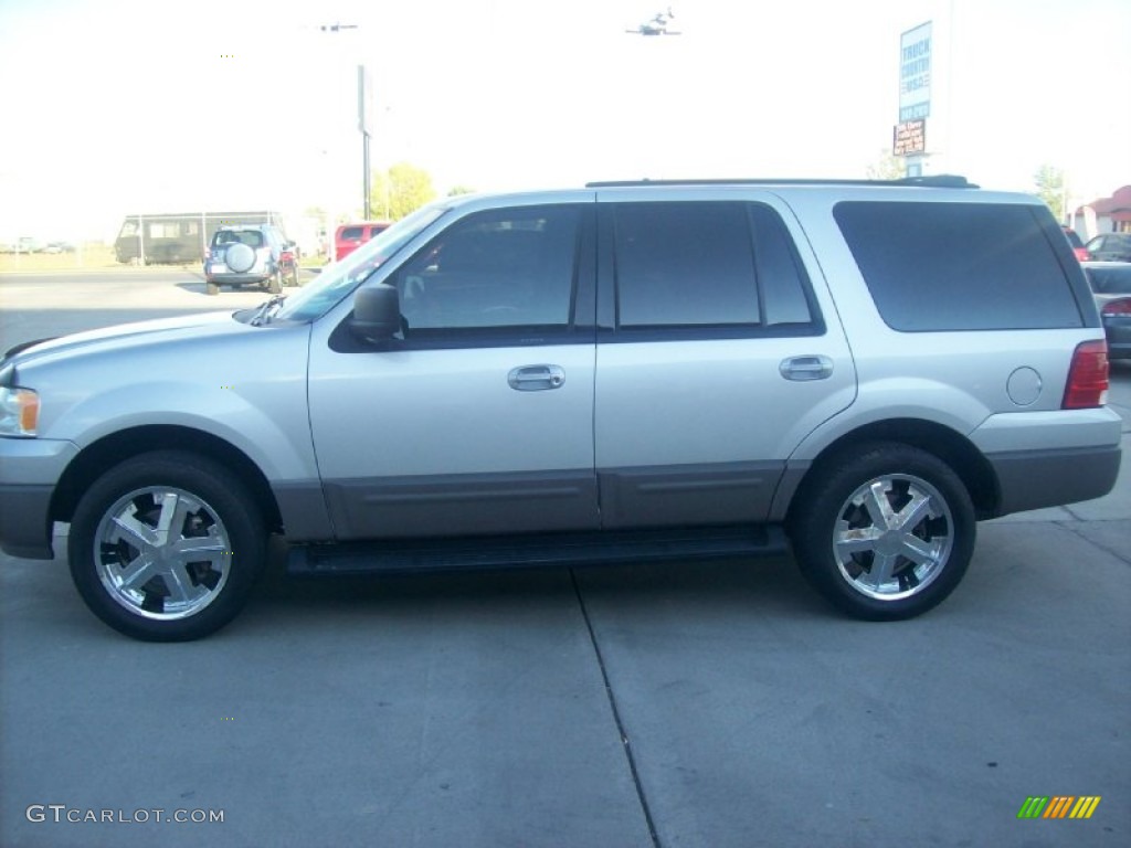 2003 Expedition XLT 4x4 - Silver Birch Metallic / Flint Grey photo #6