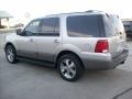 2003 Silver Birch Metallic Ford Expedition XLT 4x4  photo #19