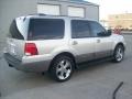 2003 Silver Birch Metallic Ford Expedition XLT 4x4  photo #24