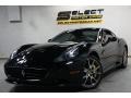 Nero (Black) - California  Photo No. 1