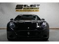 Nero (Black) - California  Photo No. 3