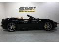 Nero (Black) - California  Photo No. 6