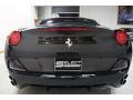 Nero (Black) - California  Photo No. 7