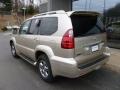 Savannah Beige Metallic - GX 470 Photo No. 3