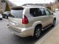 Savannah Beige Metallic - GX 470 Photo No. 5