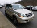 Savannah Beige Metallic - GX 470 Photo No. 6