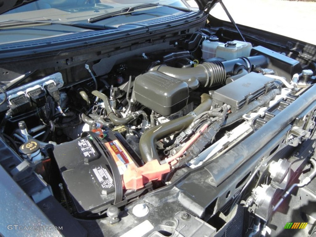 2010 Ford F150 Platinum SuperCrew 4x4 5.4 Liter Flex-Fuel SOHC 24-Valve VVT Triton V8 Engine Photo #59867832