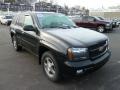 2008 Black Granite Metallic Chevrolet TrailBlazer LT 4x4  photo #6