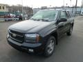 2008 Black Granite Metallic Chevrolet TrailBlazer LT 4x4  photo #8