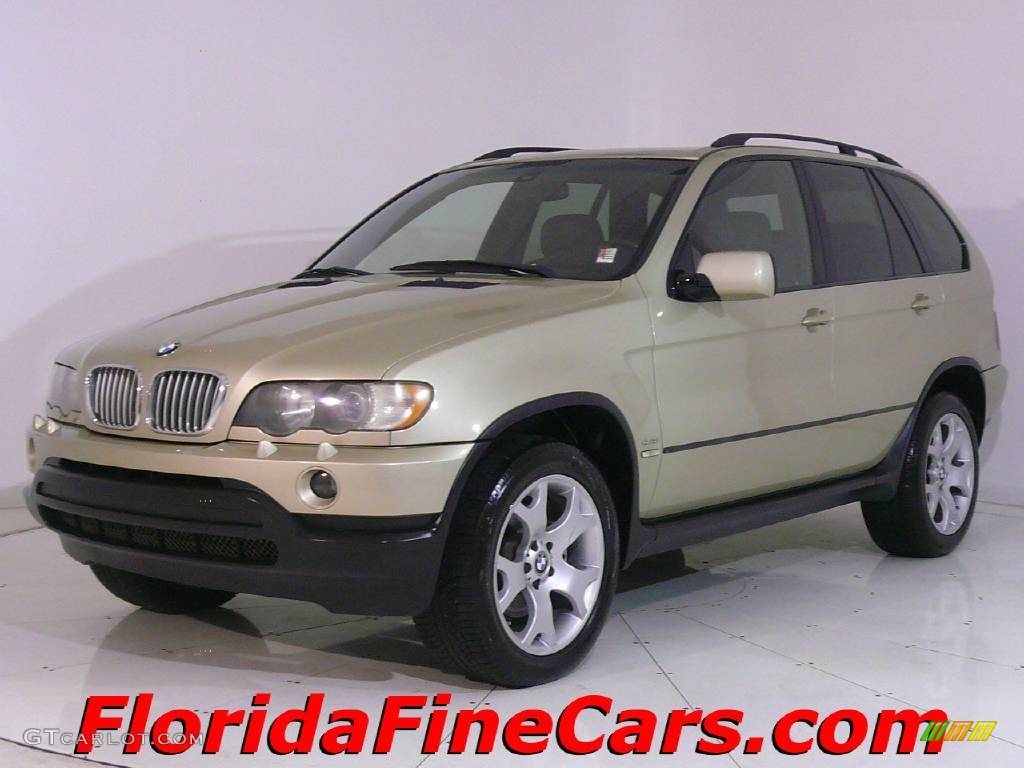 2001 X5 4.4i - Pearl Beige Metallic / Black photo #1