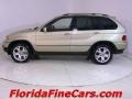 2001 Pearl Beige Metallic BMW X5 4.4i  photo #3