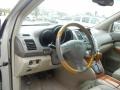 Savannah Beige Metallic - RX 330 Photo No. 12