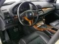 2001 Pearl Beige Metallic BMW X5 4.4i  photo #13