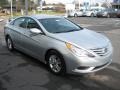 Radiant Silver - Sonata GLS Photo No. 4