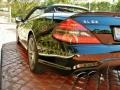 Black - SL 63 AMG Roadster Photo No. 11