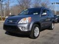 2005 Pewter Pearl Honda CR-V Special Edition 4WD  photo #5
