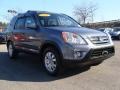 2005 Pewter Pearl Honda CR-V Special Edition 4WD  photo #7